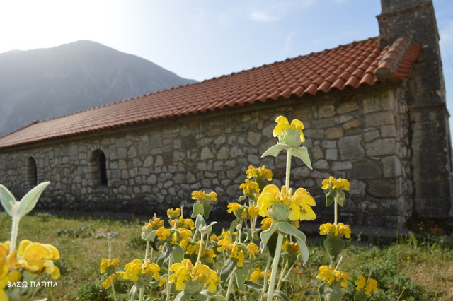 Το Παλιό χωριό ΒΑΡΝΑΚΑΣ γιόρτασε την ανακομιδή των ιερών λειψάνων του Αγίου Αθανασίου (ΦΩΤΟ: Βάσω Παππά) - Φωτογραφία 4