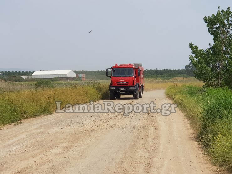 Λαμία: Ζευγάρι κινδύνεψε να καεί για να σώσει αγελάδα που είχε τραγικό τέλος - Σκληρές εικόνες! - Φωτογραφία 4