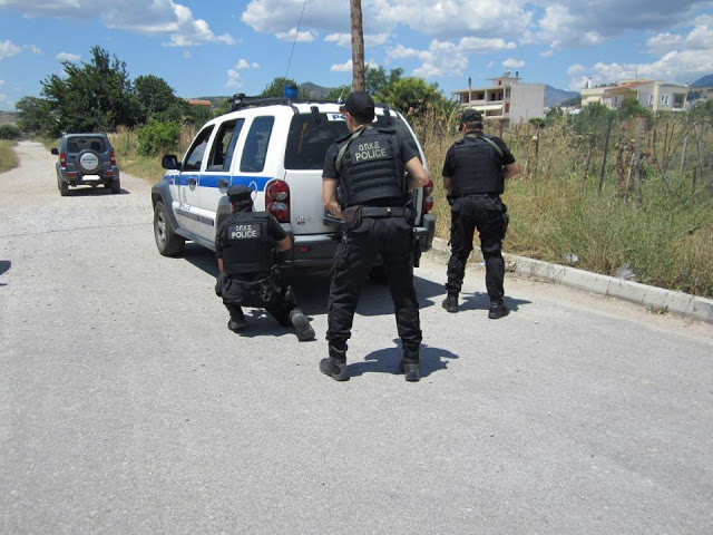 Στερεά Ελλάδα: 39 συλλήψεις σε 24 ώρες - Φωτογραφία 1