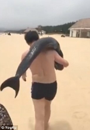 Άντρας πήγε στην παραλία και πήρε ένα δελφίνι στην πλάτη του - Φωτογραφία 3