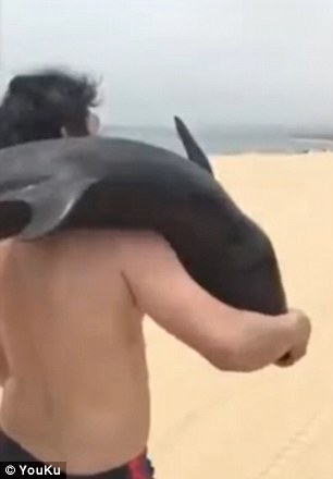Άντρας πήγε στην παραλία και πήρε ένα δελφίνι στην πλάτη του - Φωτογραφία 4