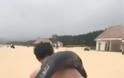 Άντρας πήγε στην παραλία και πήρε ένα δελφίνι στην πλάτη του - Φωτογραφία 3