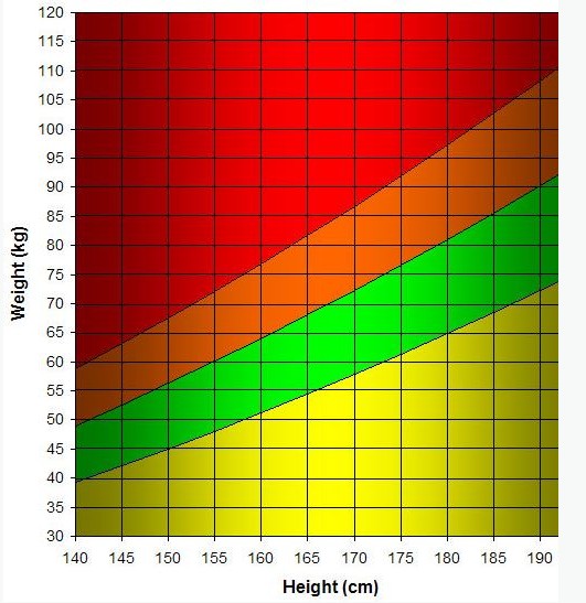 Ποιο είναι το ιδανικό βάρος ανάλογα με το ύψος σας - Φωτογραφία 2