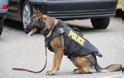 Αστυνομικός δώρισε στην υπηρεσία του εκπαιδευμένο σκύλο