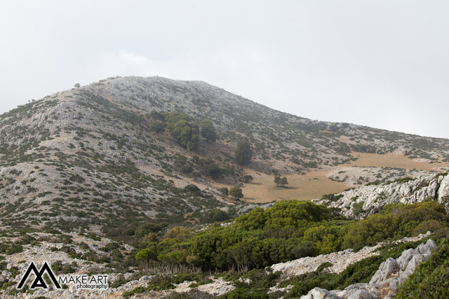 Τρέλα για την ΑΕΚ: Αστακιώτες ύψωσαν την σημαία της ΑΕΚ στη κορυφή του όρους Βελούτσα (ΦΩΤΟ: Make art) - Φωτογραφία 31