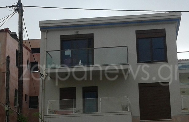 Μοναδικό περιστατικό στα Χανιά: Γλάρος εγκλωβίστηκε σε μπαλκόνι στη Χαλέπα [photos] - Φωτογραφία 4