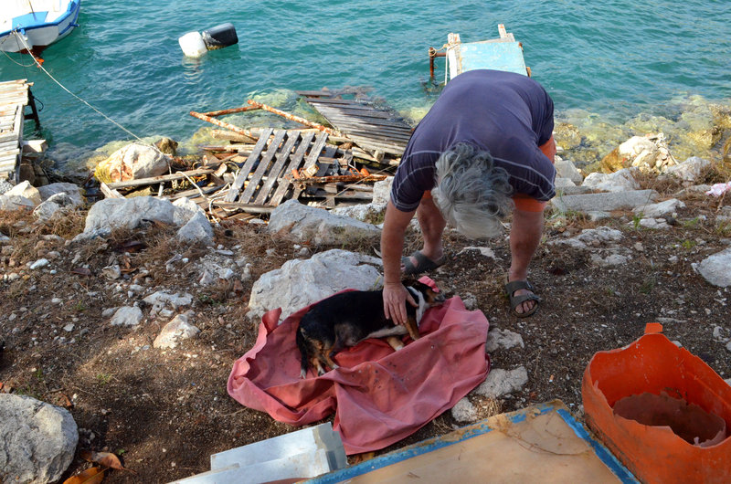 Τραγωδία στο Ναύπλιο: Νεκρή 85χρονη από διαρροή υγραερίου -Σε κρίσιμη κατάσταση η 58χρονη κόρη της - Φωτογραφία 4