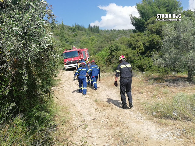 ΔΙΑ - ΠΥΡΟΣ 2018 : Άσκηση δασικής πυρκαγιάς μεγάλης κλίμακας σε πραγματικές συνθήκες - Φωτογραφία 4