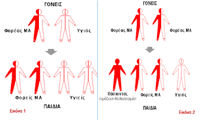 Θαλασσαιμία (Μεσογειακή Αναιμία). Πώς μεταδίδεται; Μύθοι και Αλήθειες. 8 Μαΐου Παγκόσμια Ημέρα - Φωτογραφία 2