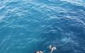 Καρέ καρέ η διάσωση της γυναίκας που βρέθηκε μέσα στη θάλασσα (5 ναυτικά μίλια νότια του Πειραιά) - Φωτογραφία 5