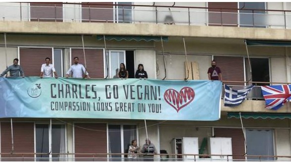 Κάρολε, γίνε vegan, σου πάει - Ομάδα vegan κρέμασε πανό για τον πρίγκιπα... [photos] - Φωτογραφία 1