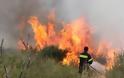 Γιατί ευχαριστούν τον Τόσκα οι πενταετείς πυροσβέστες της Στερεάς Ελλάδας - Φωτογραφία 1