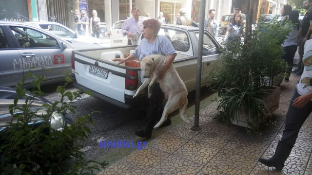 Φρικτό θέαμα στο κέντρο του Αγρινίου! (ΦΩΤΟ) - Φωτογραφία 4