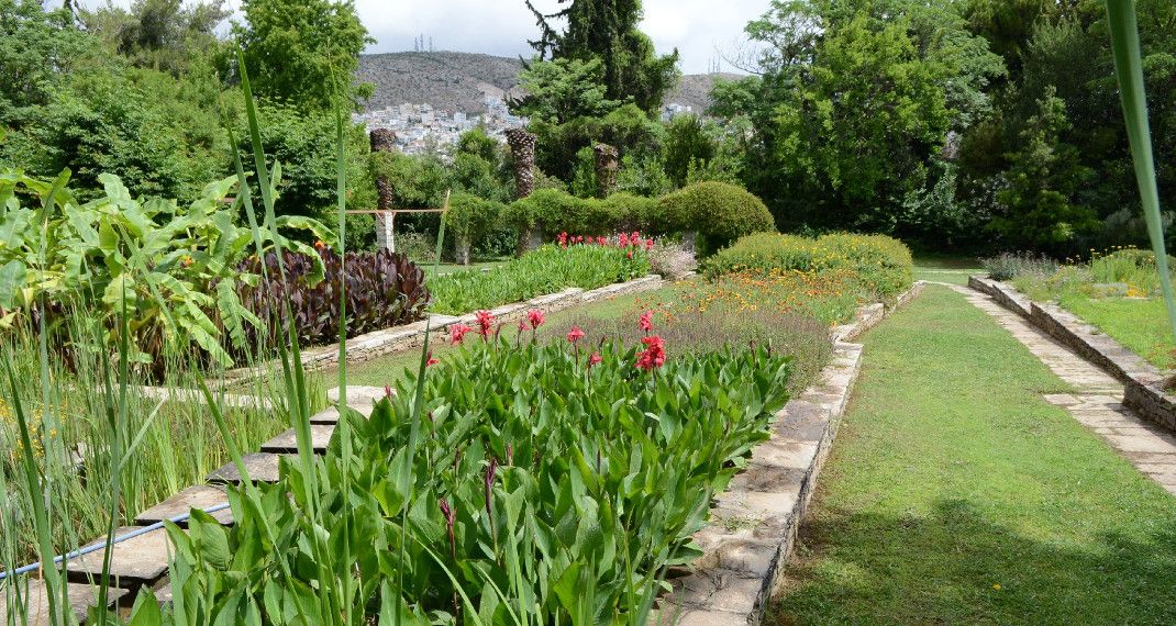 Εχεις πάει ποτέ στον βοτανικό κήπο του Διομήδους; Ενας παράδεισος στο Xαϊδάρι που γνωρίζουν ελάχιστοι - Φωτογραφία 1