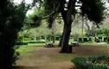 Εχεις πάει ποτέ στον βοτανικό κήπο του Διομήδους; Ενας παράδεισος στο Xαϊδάρι που γνωρίζουν ελάχιστοι - Φωτογραφία 2