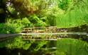 Εχεις πάει ποτέ στον βοτανικό κήπο του Διομήδους; Ενας παράδεισος στο Xαϊδάρι που γνωρίζουν ελάχιστοι - Φωτογραφία 3