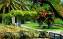 Εχεις πάει ποτέ στον βοτανικό κήπο του Διομήδους; Ενας παράδεισος στο Xαϊδάρι που γνωρίζουν ελάχιστοι - Φωτογραφία 4