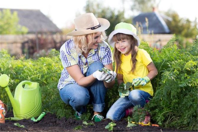 Φτιάξτε έναν κήπο μαζί με τα παιδιά σας - Φωτογραφία 1