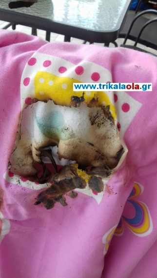 Απίστευτο: Ανατινάχτηκε και πήρε φωτιά συσκευή Power Bank στα Τρίκαλα - Σοκάρουν οι εικόνες - Φωτογραφία 2
