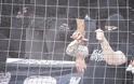 Οπαδός του ΠΑΟΚ με... πένσα, σκίζει τα διαχωριστικά στο ΟΑΚΑ [photos] - Φωτογραφία 1