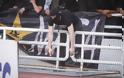 Οπαδός του ΠΑΟΚ με... πένσα, σκίζει τα διαχωριστικά στο ΟΑΚΑ [photos] - Φωτογραφία 5