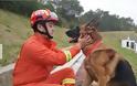 Ο σκύλος - ήρωας του σεισμού που έσωσε τη ζωή 13 ανθρώπων πριν από ακριβώς δέκα χρόνια