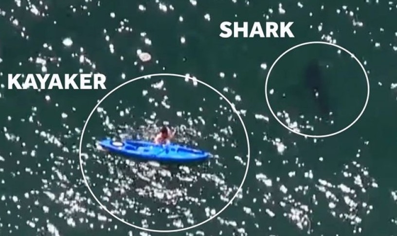 Έκανε καγιάκ σε απόσταση αναπνοής από έναν λευκό καρχαρία [video] - Φωτογραφία 1