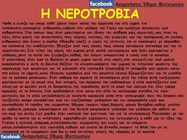 ΒΡΑΧΑΣ Θ. ΔΗΜΗΤΡΙΟΣ: Ένα νέο Παιδί, ερευνητής της παράδοσης από τις ΦΥΤΕΙΕΣ Ξηρομέρου - Φωτογραφία 13