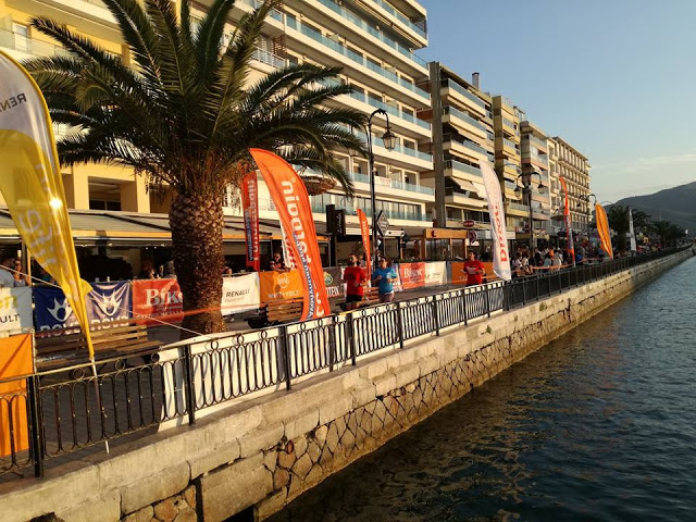 Χαλκίδα: Με Χρύσπα ο αγώνας δρόμου «Βίκος Street Relays» (ΦΩΤΟ & ΒΙΝΤΕΟ) - Φωτογραφία 9