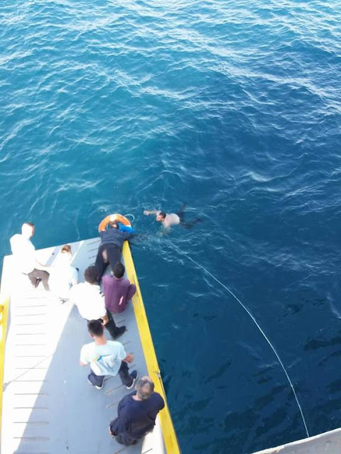 Πειραιάς: Το μυστήριο της γυναίκας που βρέθηκε στη θάλασσα βρήκε απάντηση - Φωτογραφία 7