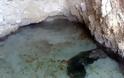 Ο εφιάλτης καραδοκεί στον Κορινθιακό: Αυτά τα βρέφη που μεγαλώνουν σε σπηλιά προκαλούν τρόμο! - Φωτογραφία 4