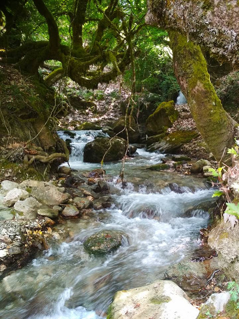 Το μαγευτικό ποτάμι της Νήσσας στα ΑΚΑΡΝΑΝΙΚΑ Όρη (ΦΩΤΟ) - Φωτογραφία 32