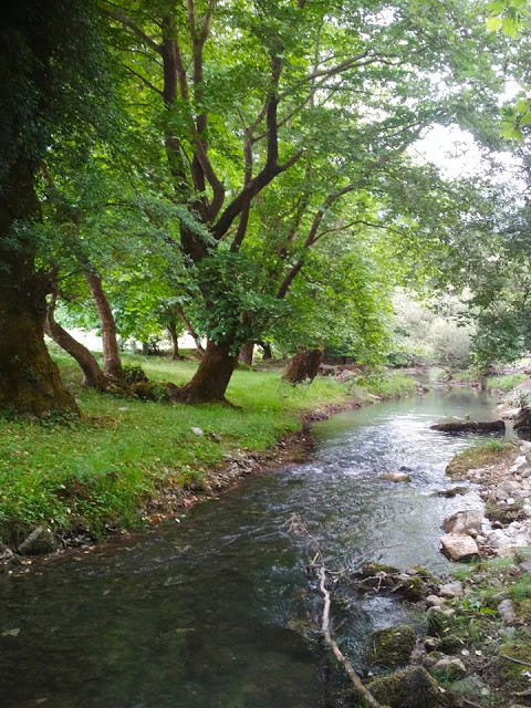 Το μαγευτικό ποτάμι της Νήσσας στα ΑΚΑΡΝΑΝΙΚΑ Όρη (ΦΩΤΟ) - Φωτογραφία 33