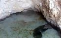 Αποικία με τσούχτρες εντοπίστηκε σε σπηλιά στον Κορινθιακό - Φωτογραφία 4