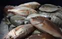 Κατασχέθηκαν 30 κιλά ακατάλληλα ψάρια σε εστιατόρια του Πειραιά
