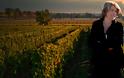 Κορίνα Μεντζελοπούλου: Μια μεγιστάνας του κρασιού προσγειώνεται στη Μπορντώ - Φωτογραφία 5