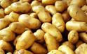 Έμπορος από τα Γιάννενα πωλούσε πατάτες στην Αιτωλοακαρνανία και έφαγε πρόστιμο
