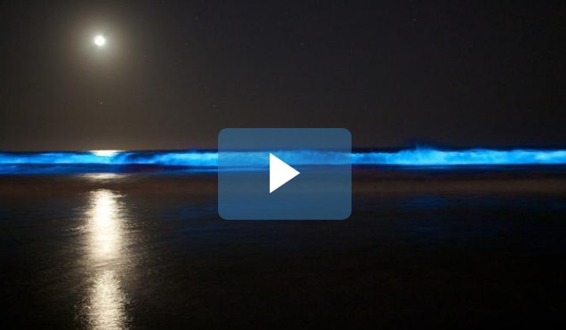 Η «απίστευτη» βιοφωταύγεια δίνει στην Καλιφόρνια μια απόκοσμη μπλε λάμψη [video] - Φωτογραφία 1