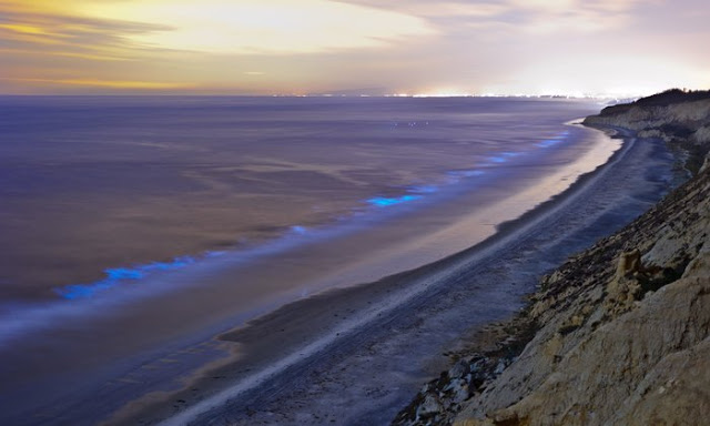 Η «απίστευτη» βιοφωταύγεια δίνει στην Καλιφόρνια μια απόκοσμη μπλε λάμψη [video] - Φωτογραφία 2