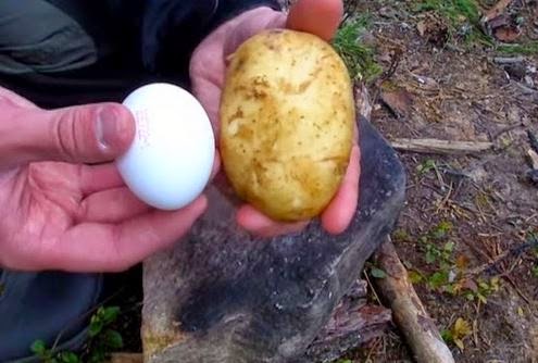 Πήρε μια πατάτα και έβαλε μέσα σε αυτήν ένα αβγό. Ο λόγος; Καταπληκτικός! [video] - Φωτογραφία 1