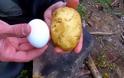 Πήρε μια πατάτα και έβαλε μέσα σε αυτήν ένα αβγό. Ο λόγος; Καταπληκτικός! [video]