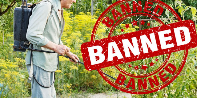 Glyphosate Should Be Banned By EPA And The Law It’s A Hormone Disruptor - Φωτογραφία 1