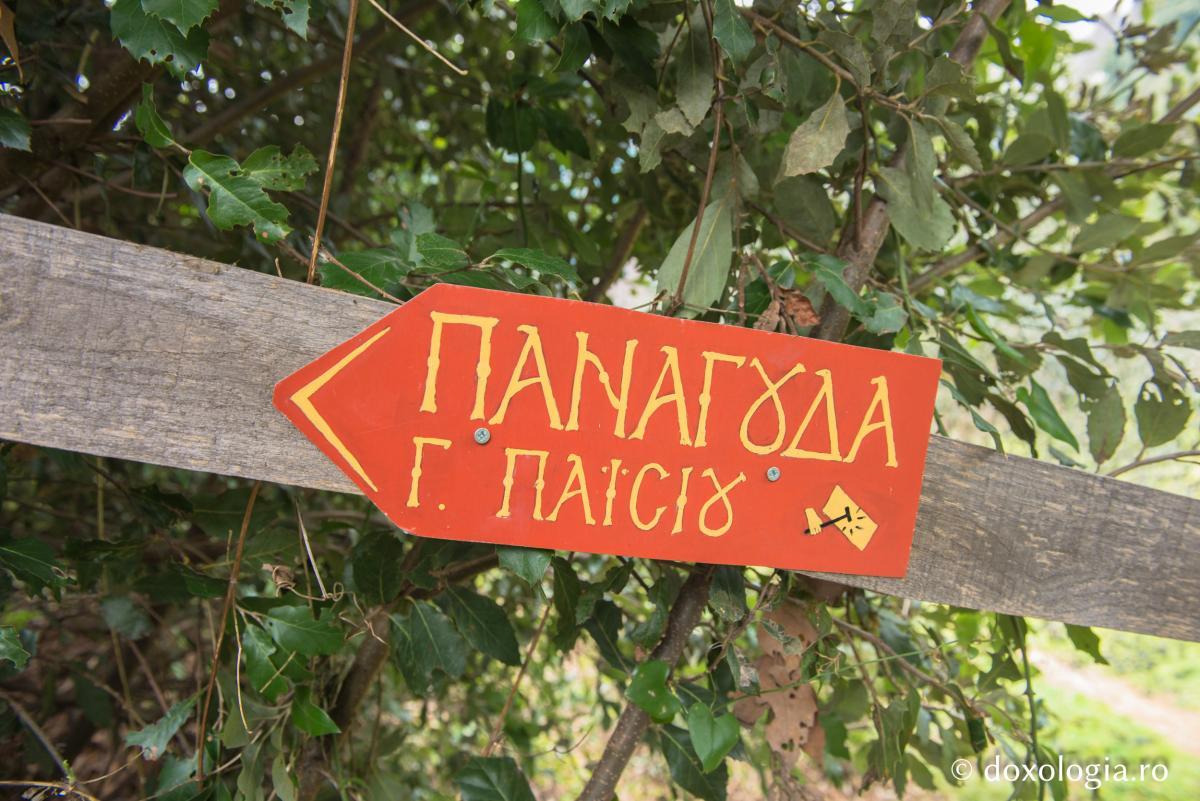 Παναγούδα: Το κελλάκι του Αγίου Παϊσίου (φωτογραφίες) - Φωτογραφία 12