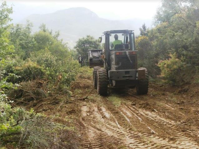 Δράσεις Εξωστρέφειας του Γ΄ Σώματος Στρατού «ΜΕΓΑΣ ΑΛΕΞΑΝΔΡΟΣ» - Φωτογραφία 8