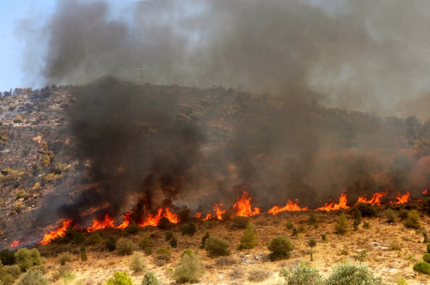 Καταστροφική πυρκαγιά στην Αγκαιριά της Πάρου - Φωτογραφία 1