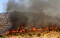 Καταστροφική πυρκαγιά στην Αγκαιριά της Πάρου