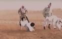 Μονοπάτι του Αίματος: Αποκαλυπτικό ντοκιμαντέρ για τα στρατόπεδα εκπαίδευσης της Αλ Κάιντα στη Σαουδική Αραβία [video] - Φωτογραφία 3