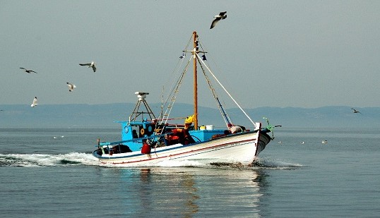 Απαγόρευση αλιείας σε περιοχές αρμοδιότητας Λιμεναρχείου Σαρωνικού - Φωτογραφία 1