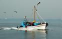 Απαγόρευση αλιείας σε περιοχές αρμοδιότητας Λιμεναρχείου Σαρωνικού