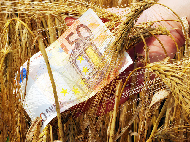 Σήμερα στους λογαριασμούς αγροτών τα χρήματα του ΕΛΓΑ - Φωτογραφία 1
